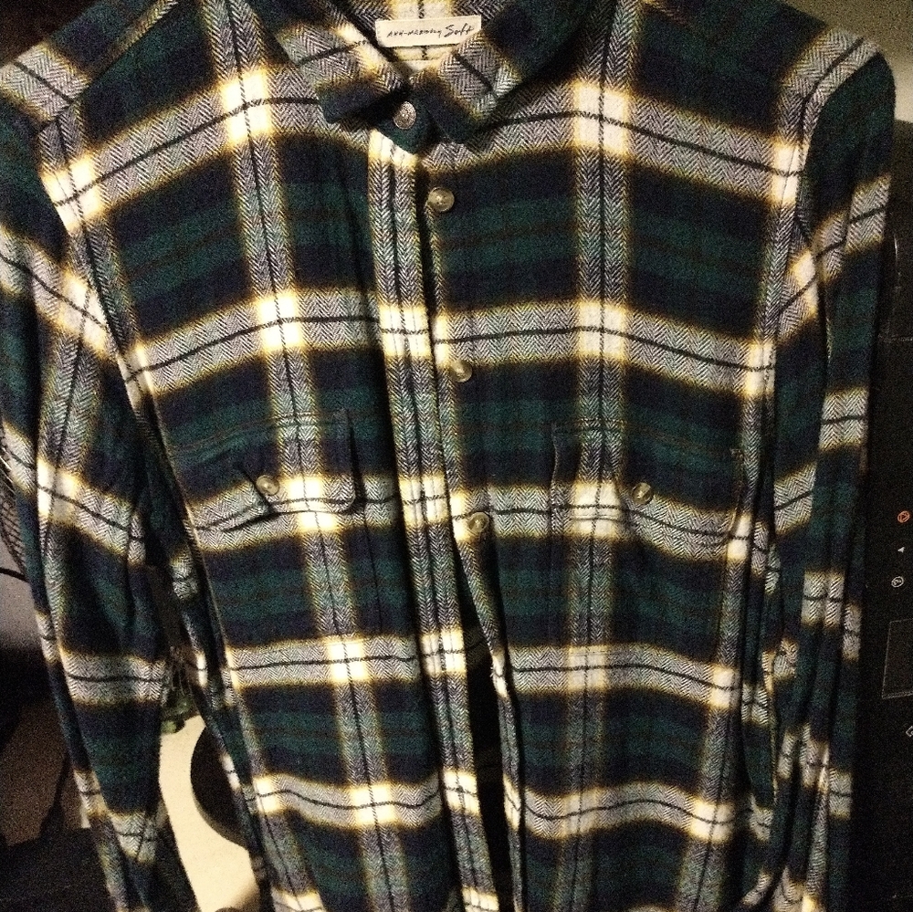 American Eagle Outfitters Classic Button Down Shirt